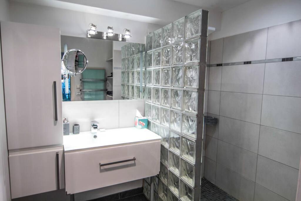 Appartement Avec Jardin Interieur 4 Pers Centre Ville Немур Екстер'єр фото